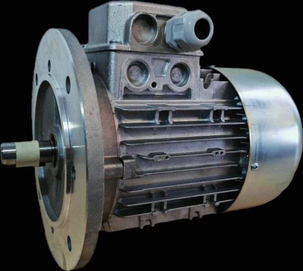 Imagine motor electric trifazat cu doua viteze 0.8-0.6kw 3000-1400rpm 80 B5