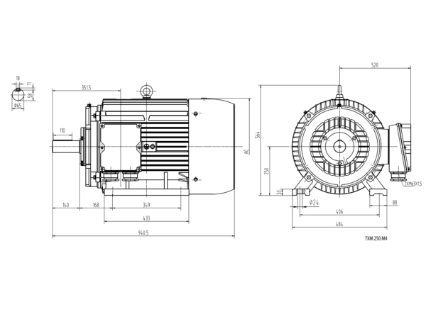 Motor electric trifazat 30kw 750rpm 250 B3 1