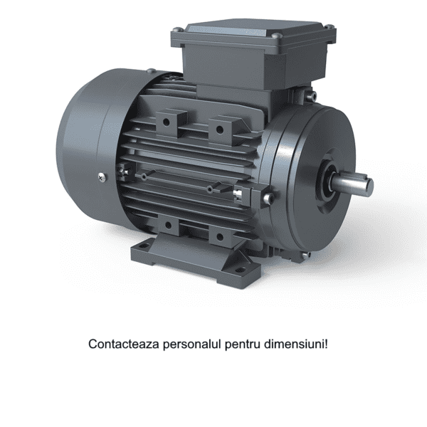 Motor electric trifazat 45kw 3000rpm 225 B3 1