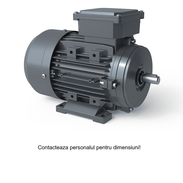 Motor electric trifazat 45kw 3000rpm 225 B3 1